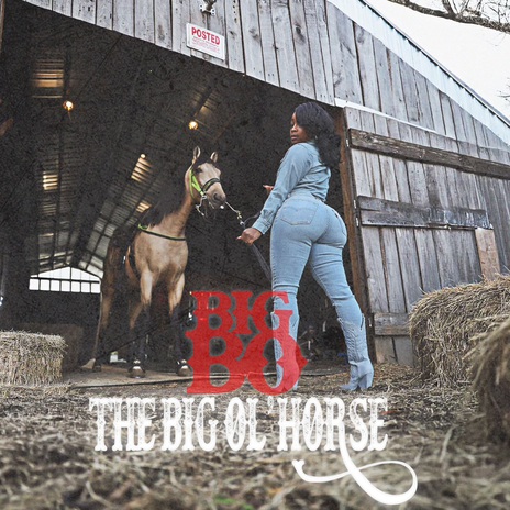 The Big Ol Horse | Boomplay Music