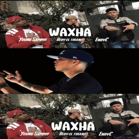 WAXHA | Boomplay Music