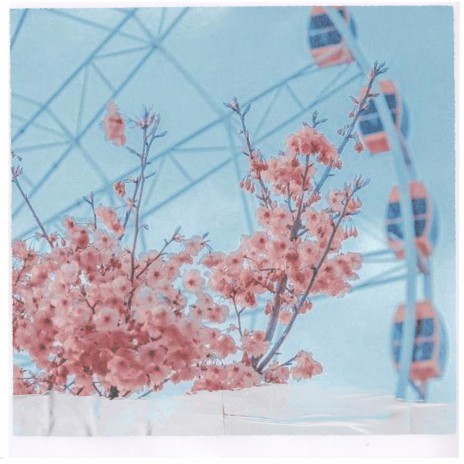 Cherry Blossom ft. Yojo Summer | Boomplay Music