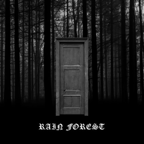 Rain Forest | Boomplay Music