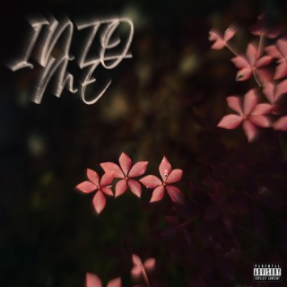 Into Me lyrics | Boomplay Music