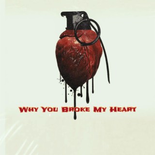 Why You Broke My Heart