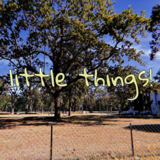 little things!