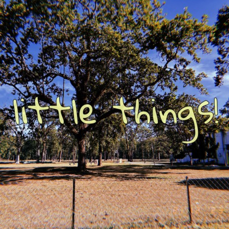 little things!
