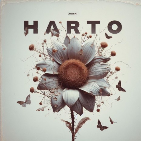 HARTO | Boomplay Music