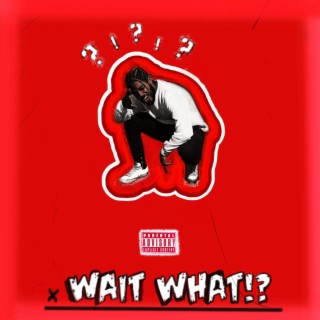 Wait What!? lyrics | Boomplay Music