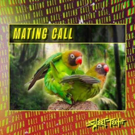 Mating Call | Boomplay Music