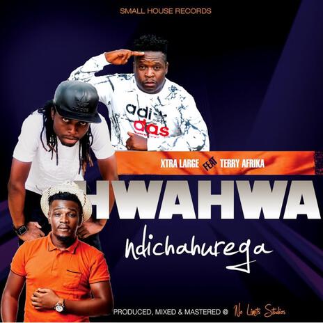 Hwahwa Ndichahurega ft. Terry Afrika