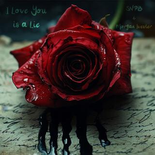 I Love You Is A Lie