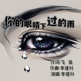 你的眼睛下过的雨 lyrics | Boomplay Music