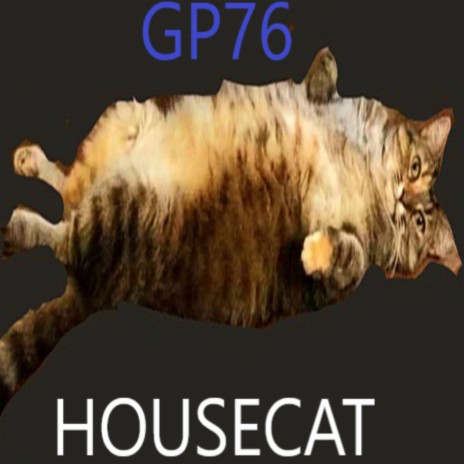 housecat | Boomplay Music