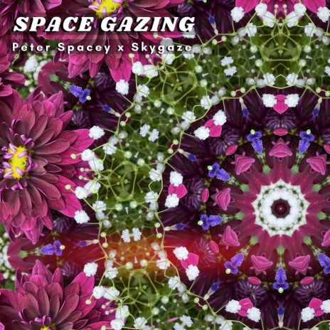 Space Gazing ft. SKYGAZE | Boomplay Music