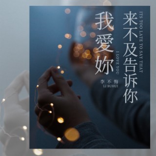 来不及告诉你 我爱你 lyrics | Boomplay Music