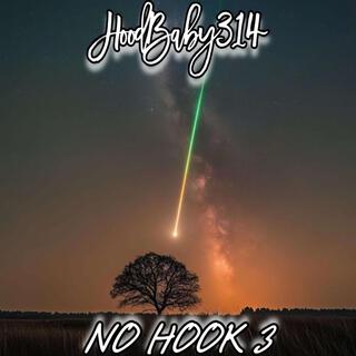 NO HOOK 3