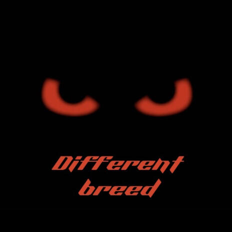 Diffrent Breed | Boomplay Music