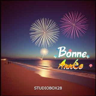 Bonne année (Radio Edit) lyrics | Boomplay Music