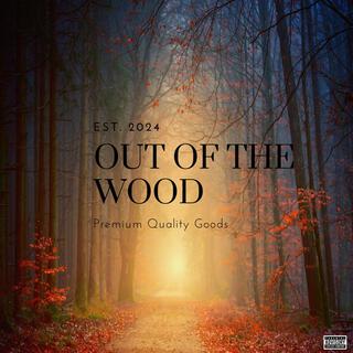 Out of the wood lyrics | Boomplay Music