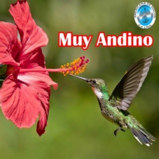 Muy Andino