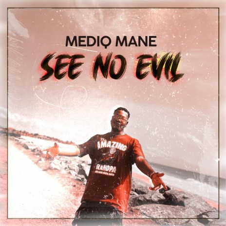 See No Evil | Boomplay Music