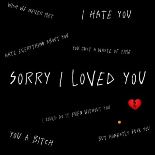 Sorry I loved you