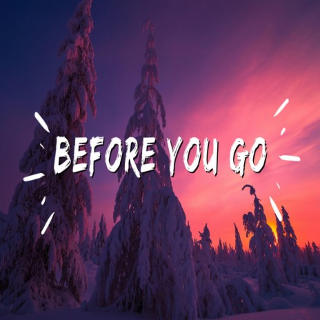 Before You Go