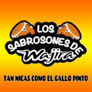 Sazon Navideño los sabrosones de wajira