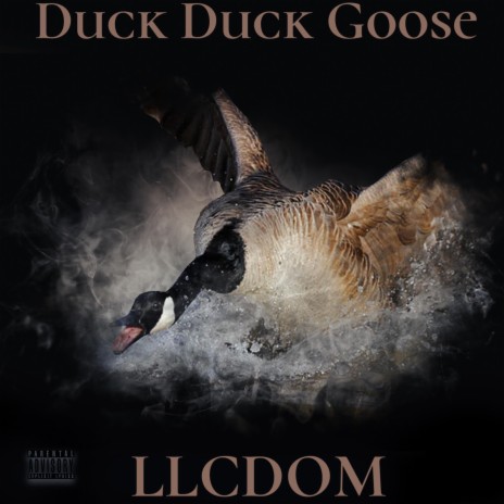 Duck Duck Goose | Boomplay Music