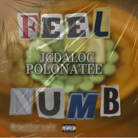 Feel Numb ft. Polonatee | Boomplay Music