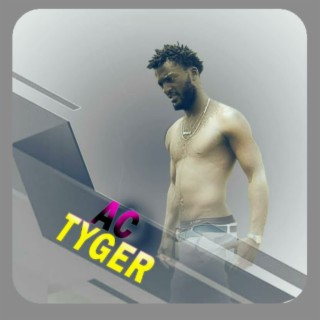 Ace Tyger