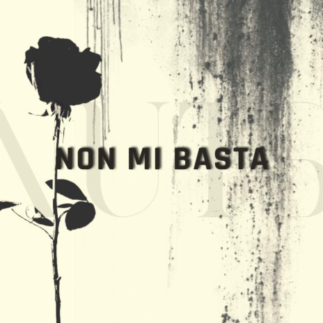 Non mi basta | Boomplay Music