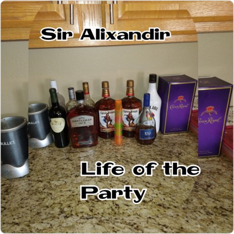 Life of the Party | Boomplay Music