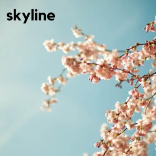 We Are Skyline