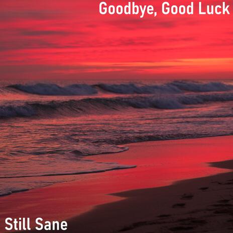 Goodbye, Good Luck | Boomplay Music