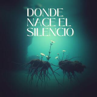 Donde Nace el Silencio