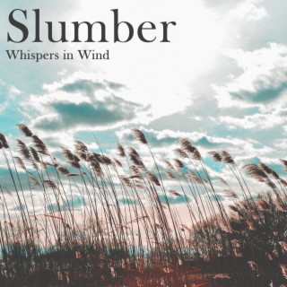 Slumber: Whispers in Wind - Nature Dreaming, Calm Zen, Feeling of Rain, Instant Peace Meditation, Music for Deep Sleep, Distress, Sleepy Drops