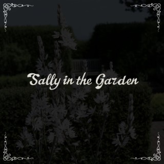 Sally in the Garden (Gourd Banjo)