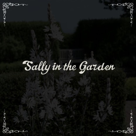 Sally in the Garden (Gourd Banjo) | Boomplay Music