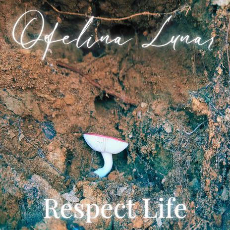 Respect Life | Boomplay Music