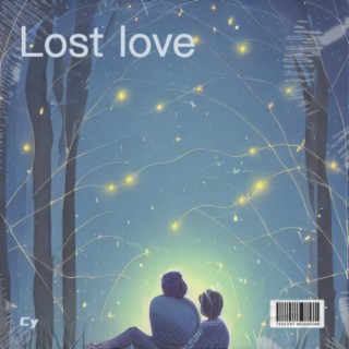 Lost love lyrics | Boomplay Music