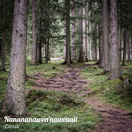 Nanananawon'nawouaii(remasterizada) (Remastered) | Boomplay Music