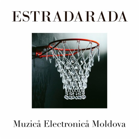 Muzica Electronica Moldova (Гопцаца)