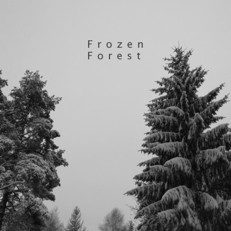 Frozen Forest | Boomplay Music