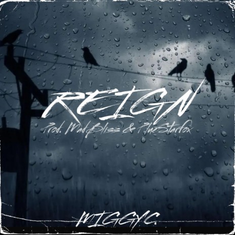 REIGN | Boomplay Music