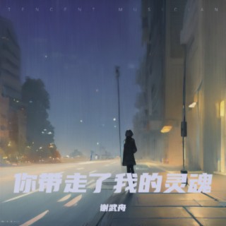 你带走了我的灵魂 lyrics | Boomplay Music