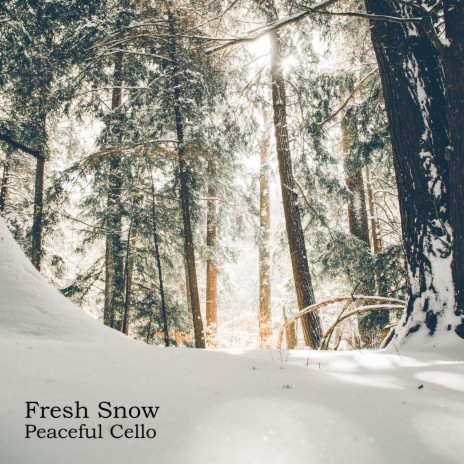 Fresh Snow | Boomplay Music
