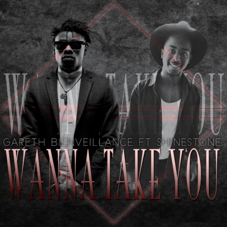 Wanna Take You ft. Shinestone | Boomplay Music