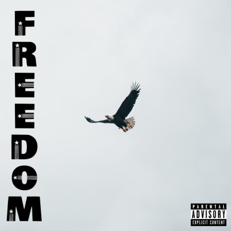 Freedom | Boomplay Music