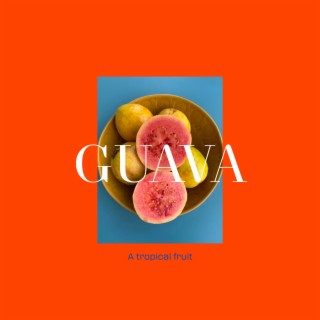 GUAVA