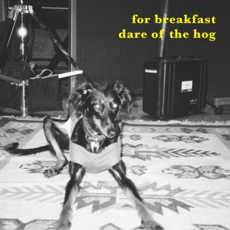 Dare of the Hog | Boomplay Music