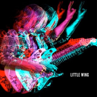 Little Wing